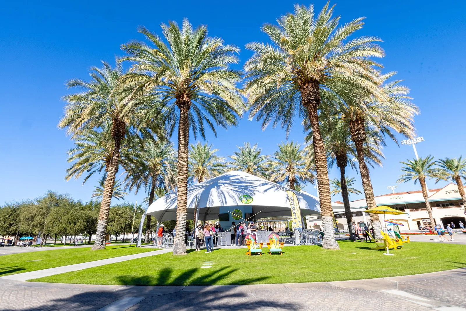 Arizona Pickleball Tournaments 2026: Where to Play & Stay