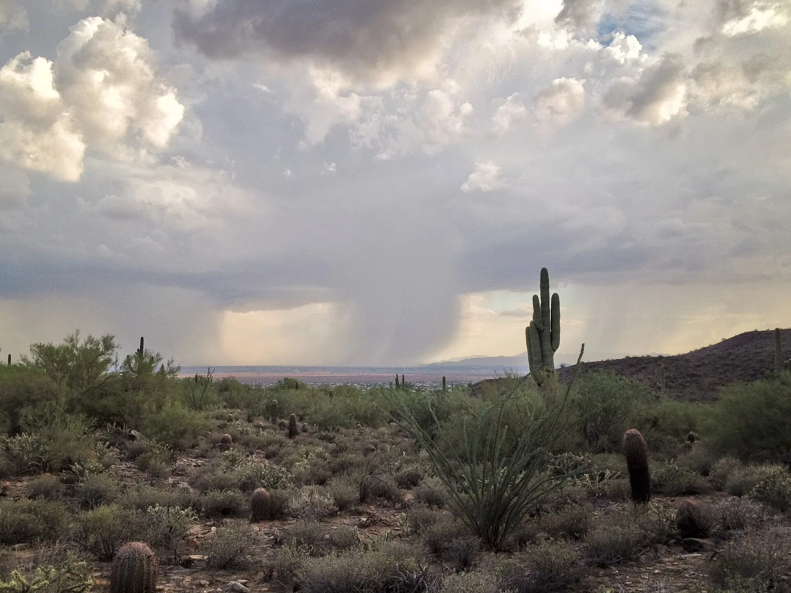 Monsoon-Proof Pickleball: Why Indoor Courts Win in Arizona