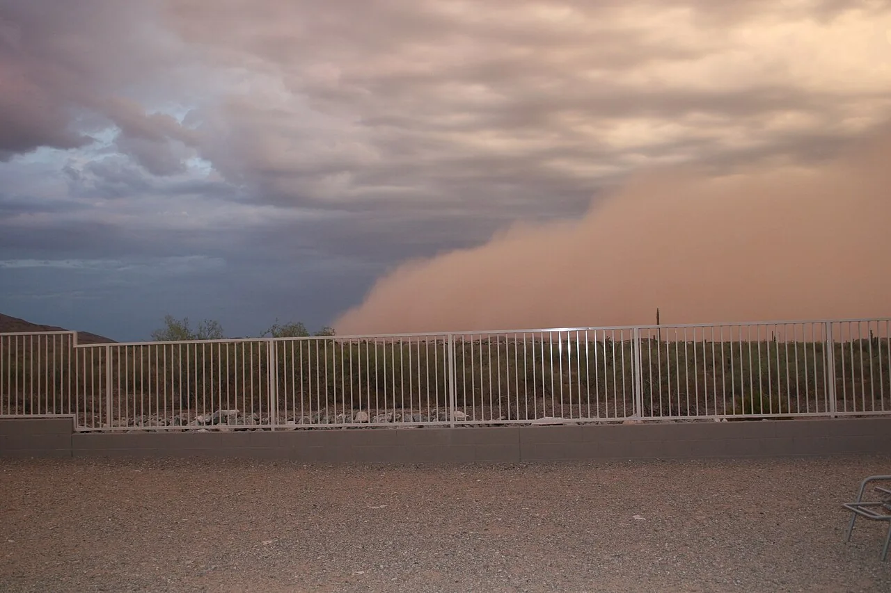 A wall of blowing dust (haboob) advancing across the Arizona desert ahead of a storm