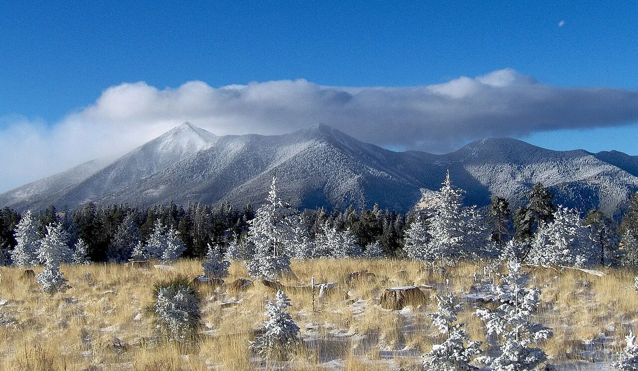 The San Francisco Peaks rising above pine forest near Flagstaff, Arizona