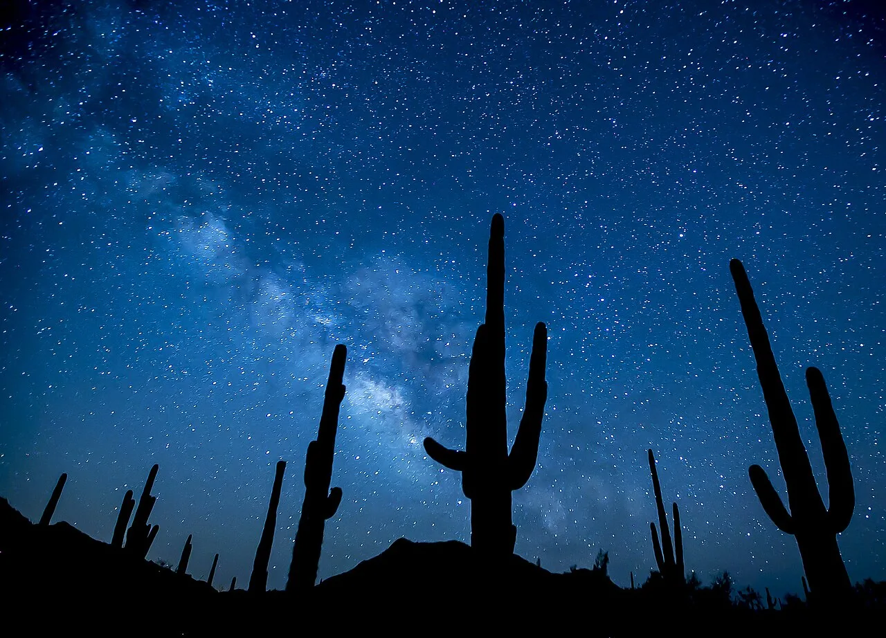 A person looking up at a dark, star-filled Arizona sky