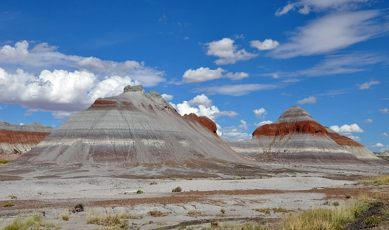 Banded badlands and petrified logs at Petrified Forest National Park