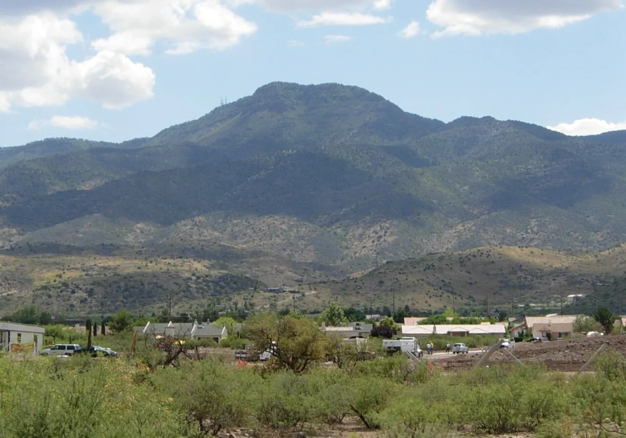 Forested slopes of Mingus Mountain along SR-89A between Prescott and Jerome