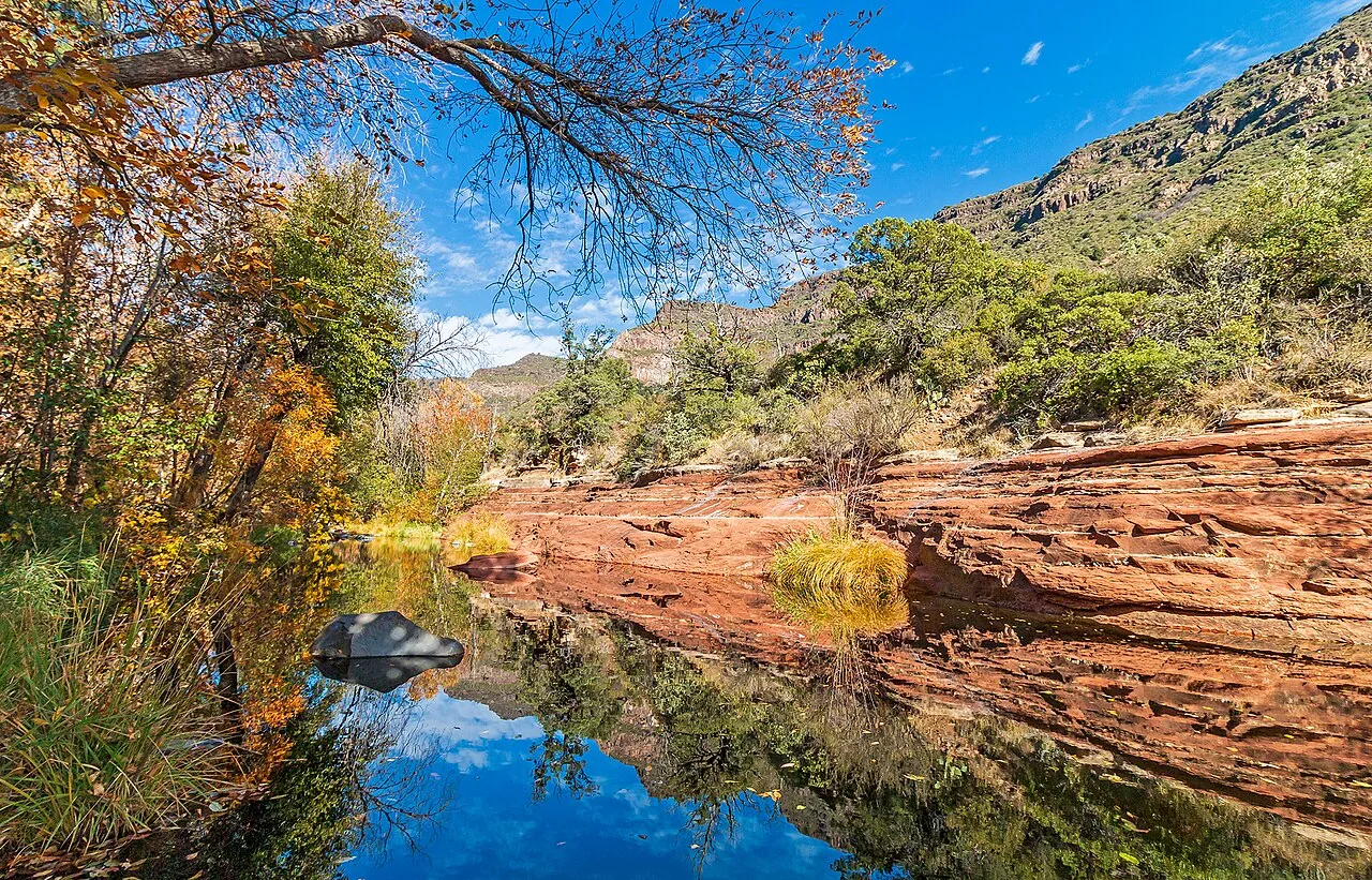 Oak Creek Canyon in Sedona with fall foliage along the creek beneath red rock walls