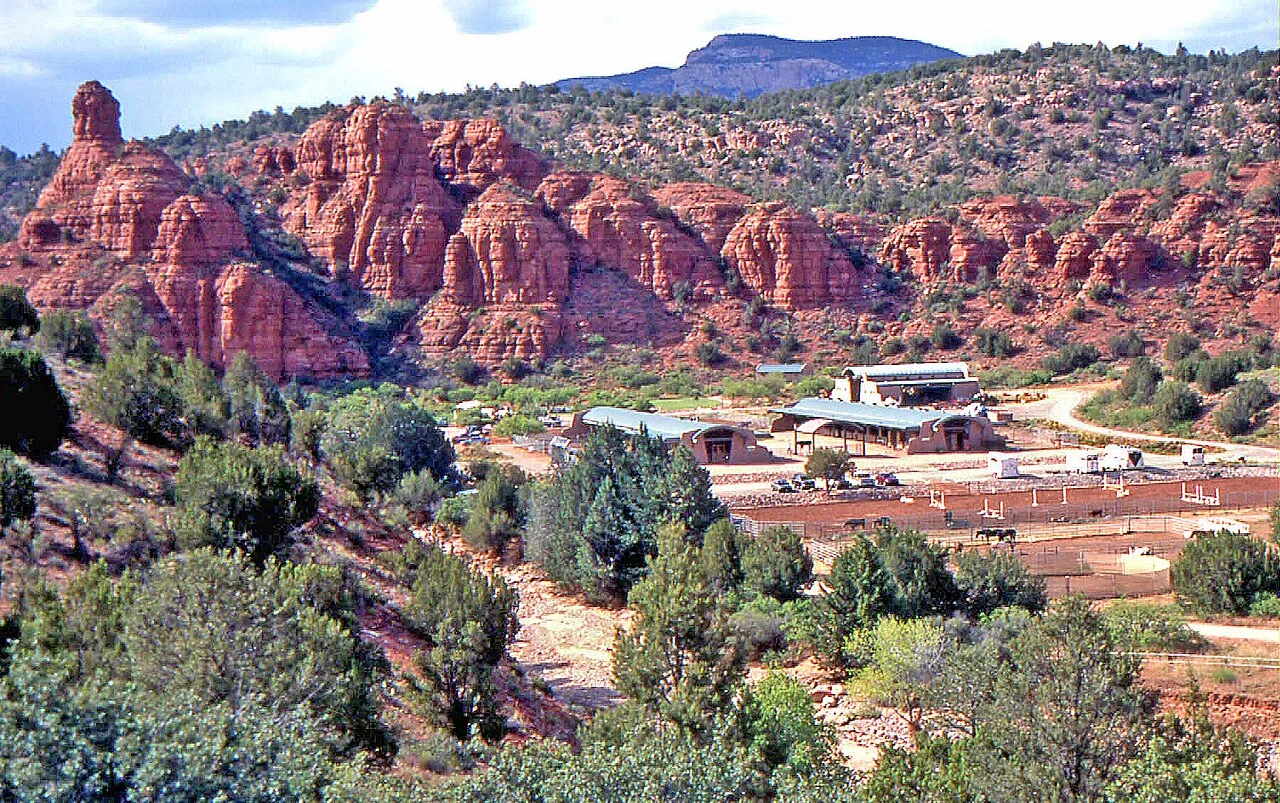 Shaded creekside greenery in Oak Creek Canyon north of Sedona