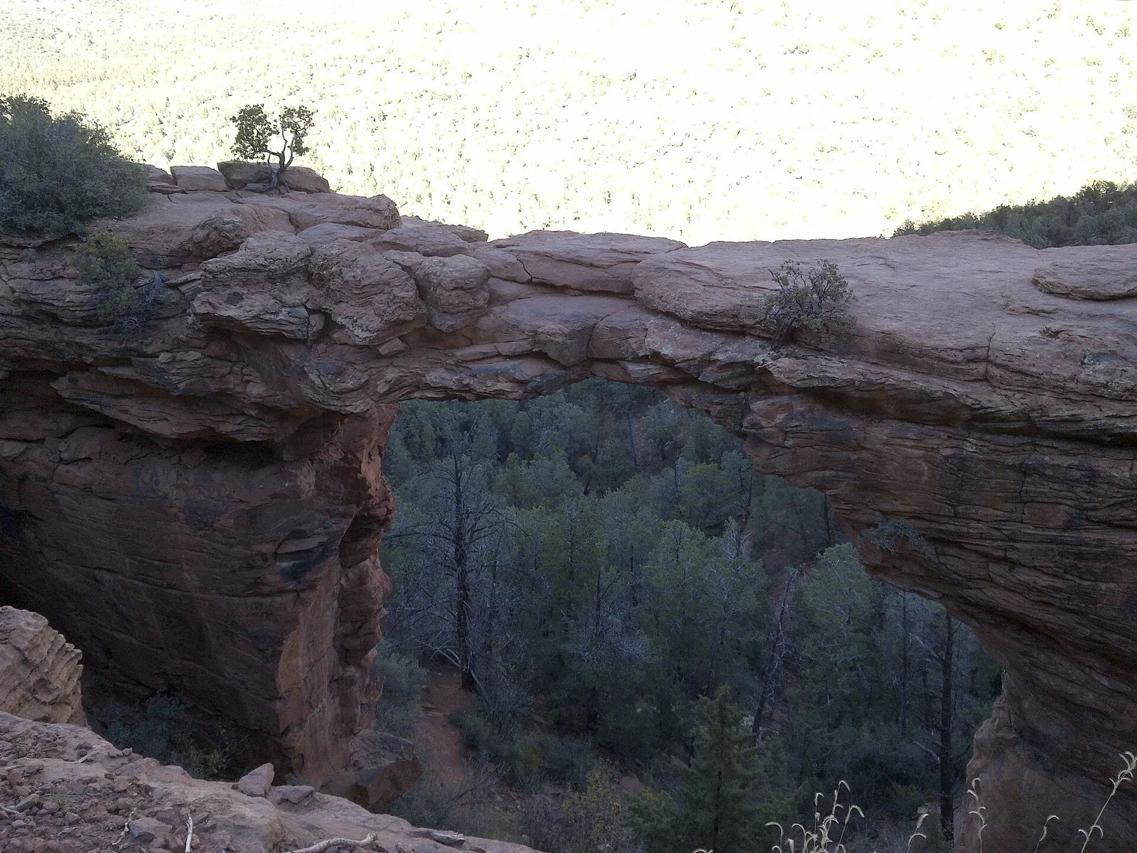 Devil's Bridge Trail Sedona: Hike, Parking & Tips