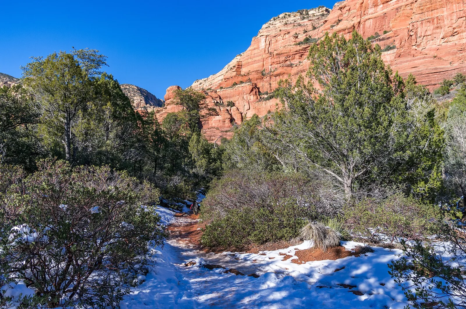 Fay Canyon Trail Sedona: Easy Hike to a Hidden Arch
