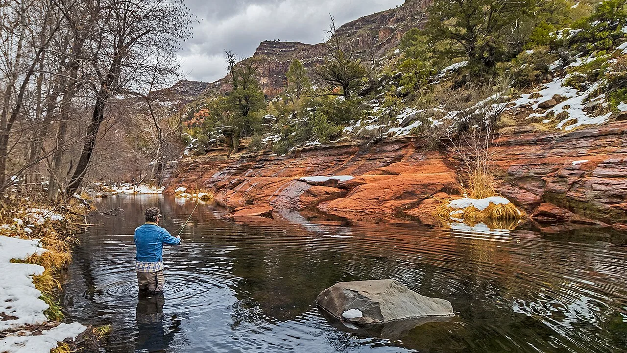 Oak Creek flowing through green sycamores in Oak Creek Canyon near Sedona