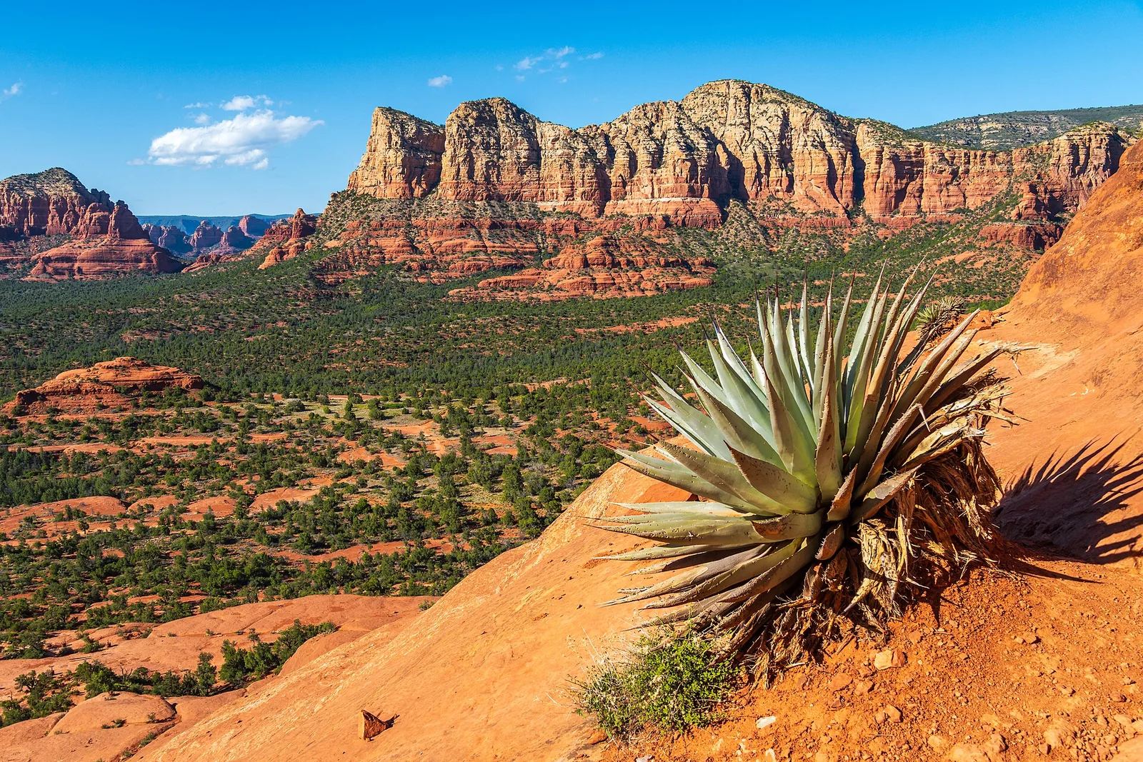 Red Rock Scenic Byway (SR 179): Drive Guide