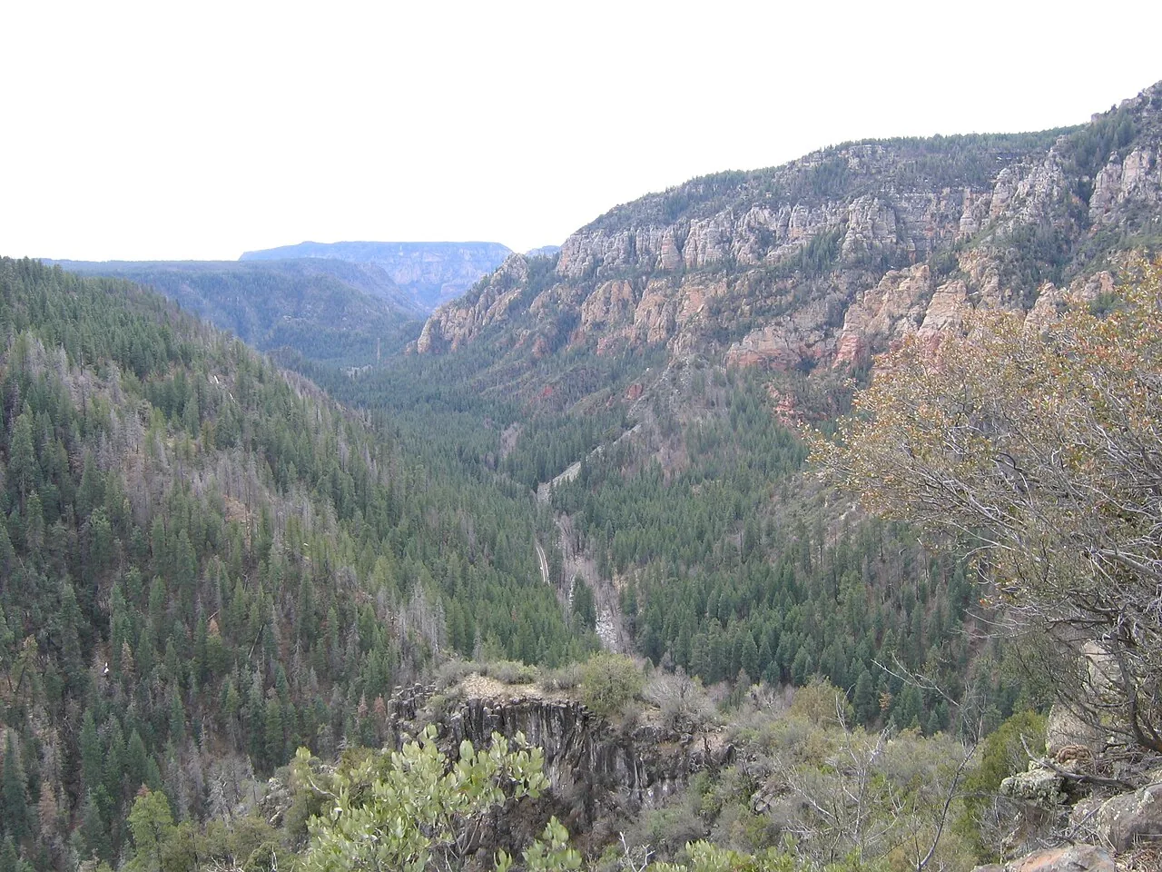 Shaded creek and canyon walls along Oak Creek Canyon near Sedona