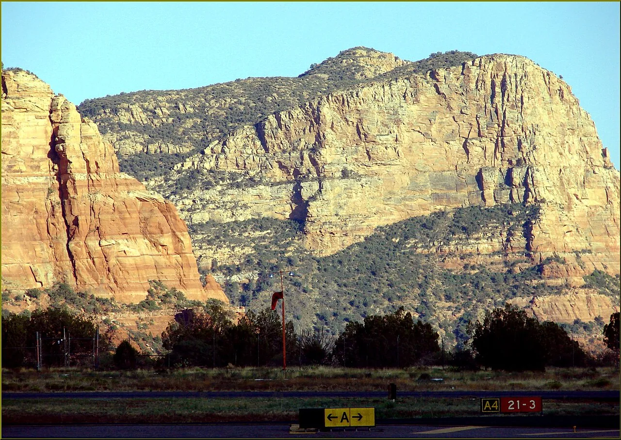 Wildflowers blooming among red rocks in spring near Sedona