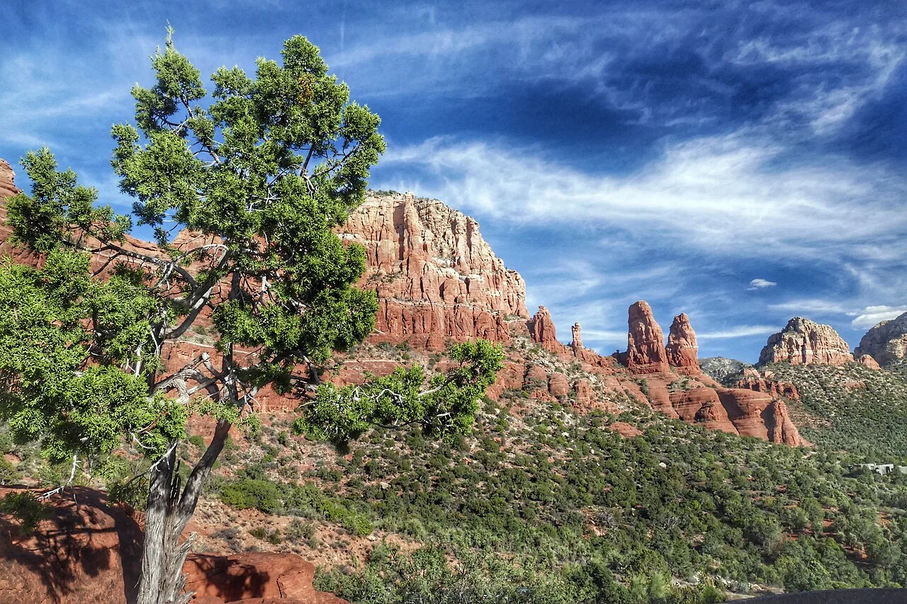 Mountain biker riding red-rock singletrack near Sedona