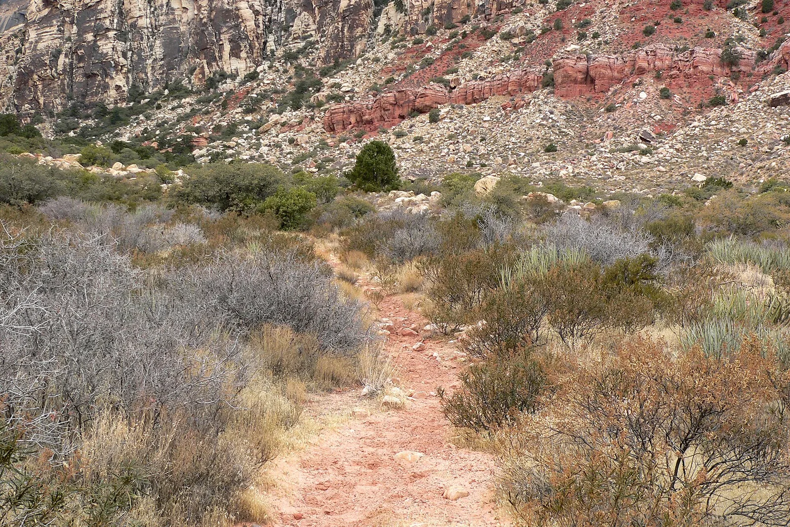 Sedona in October: Fall Colors, Art Festivals & Peak Hiking