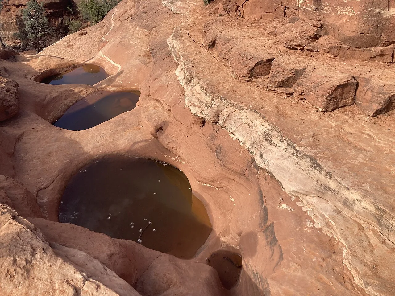 Stair-step natural rock basins of the Seven Sacred Pools holding water on Soldier Pass Trail