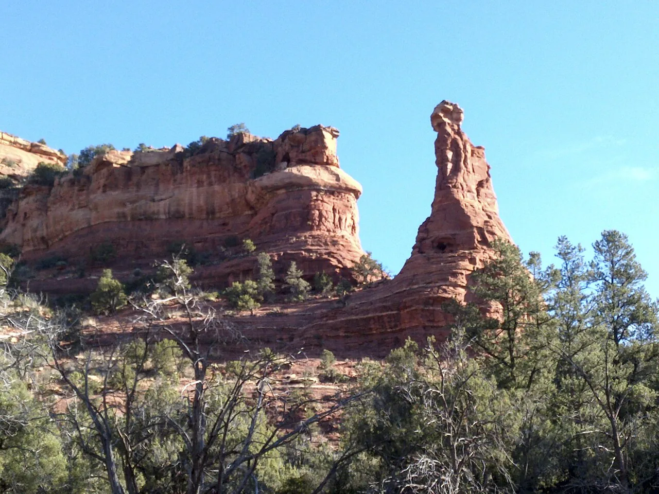 The tall red canyon walls of Boynton Canyon near Sedona, Arizona