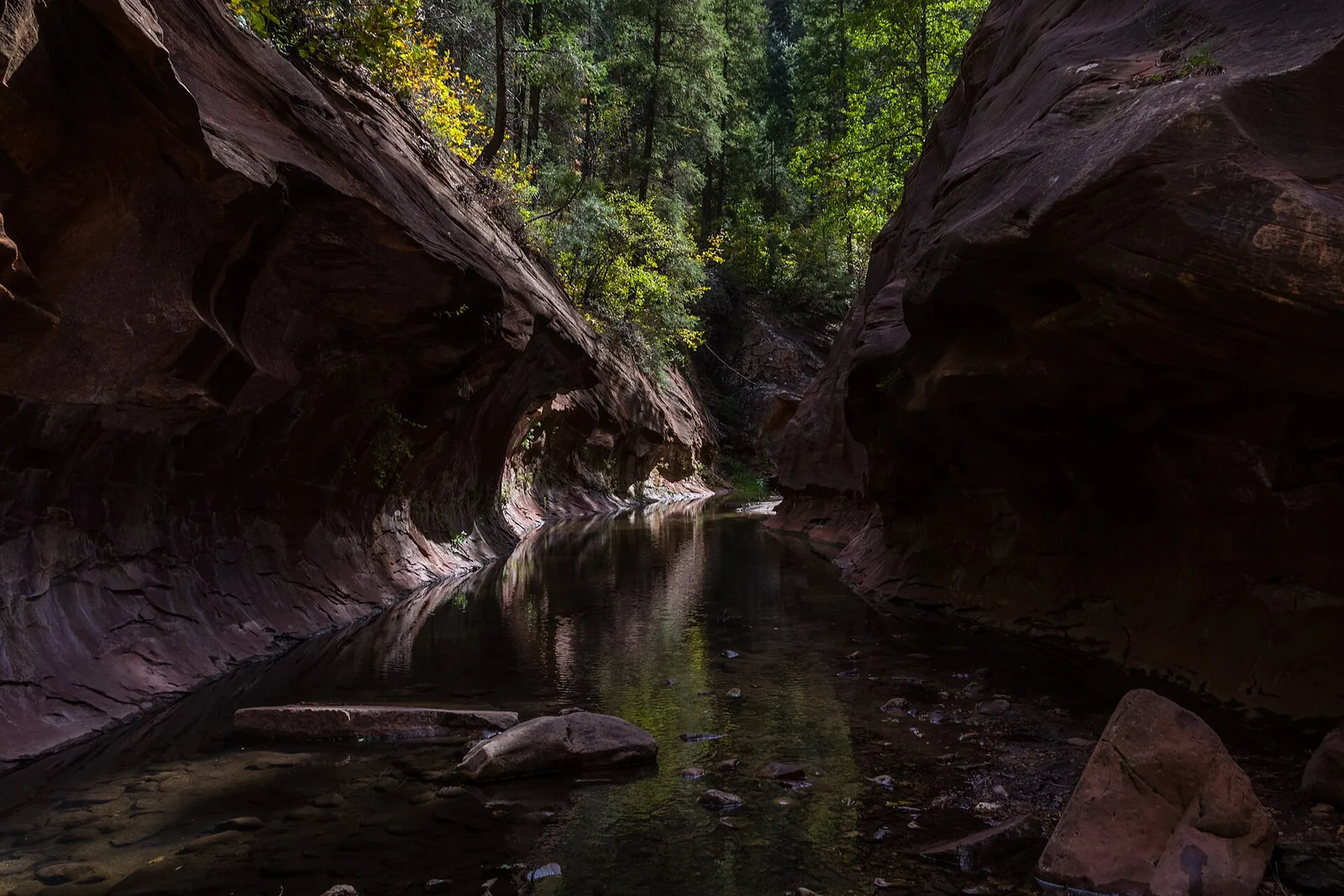 West Fork Trail Sedona: Oak Creek Canyon's Fall Hike
