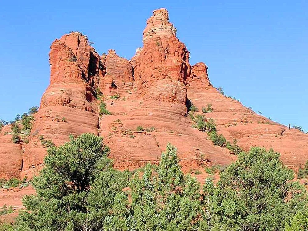 Grapevines and red rock landscape in Arizona's Verde Valley wine region
